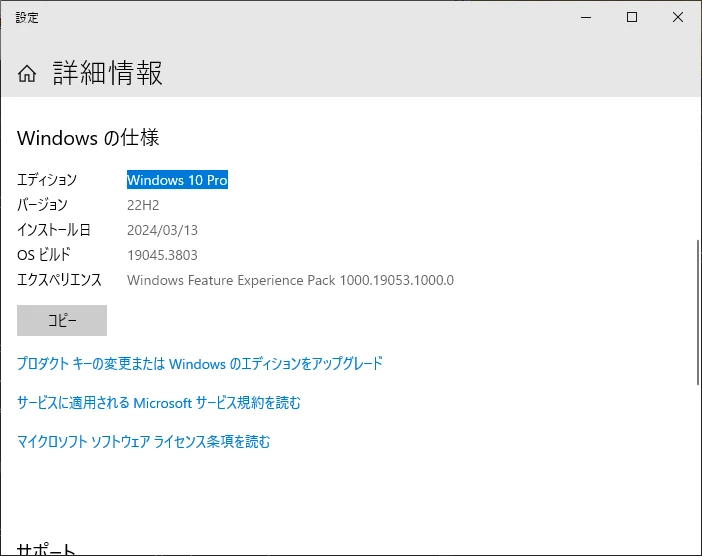 Windows の仕様にて、エディションが「Pro」。バージョンが「22H2」。